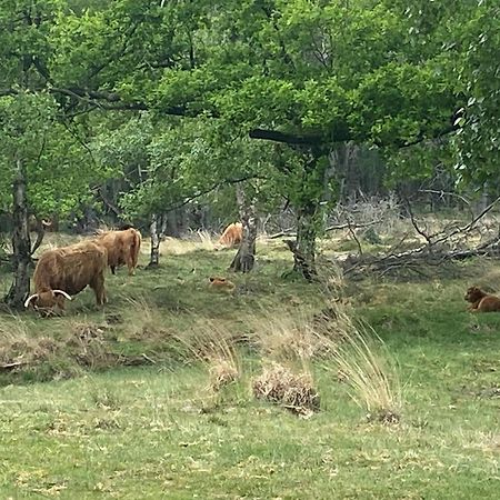 Veldzicht Brunsting Villa Beilen Eksteriør bilde